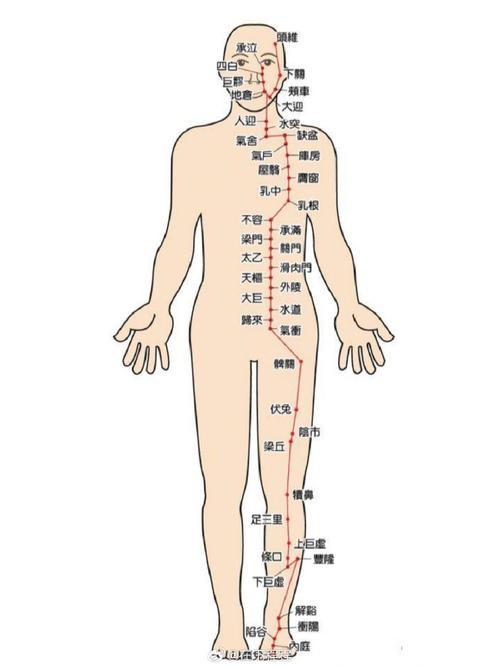 人体腰部穴位图解大全