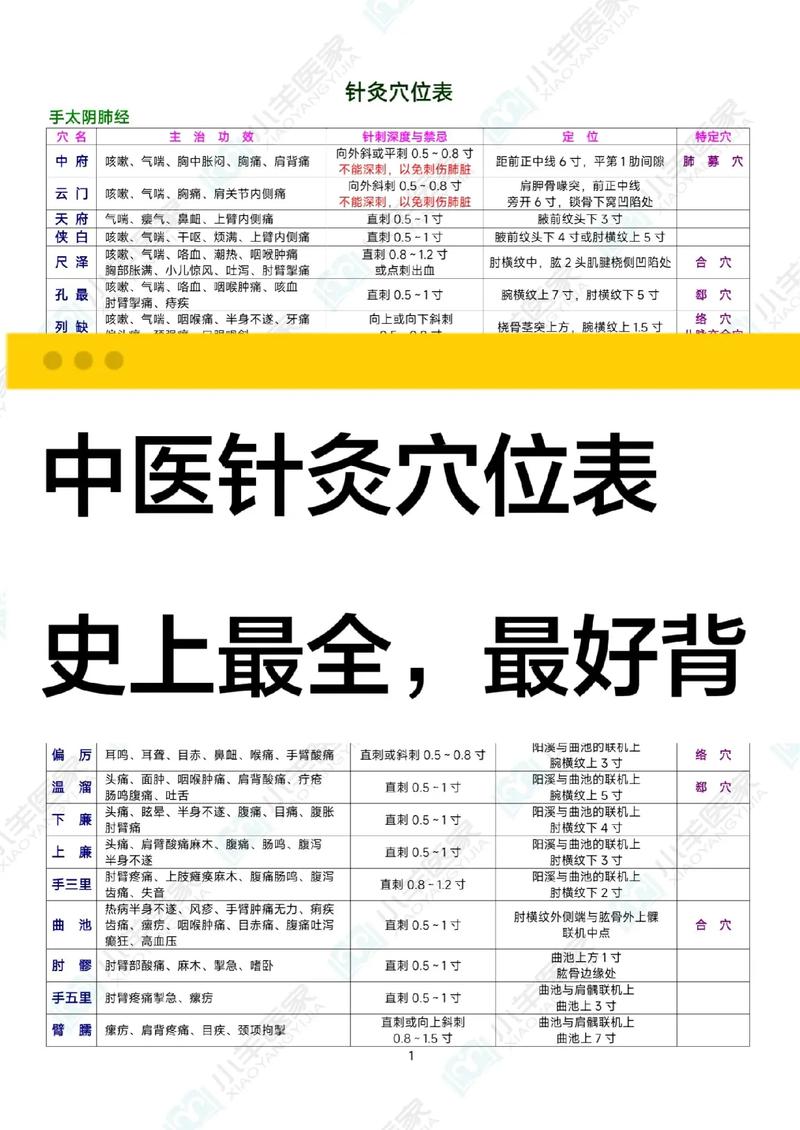 针灸穴位图解 pdf