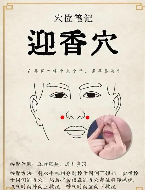 小孩鼻炎怎么按摩穴位