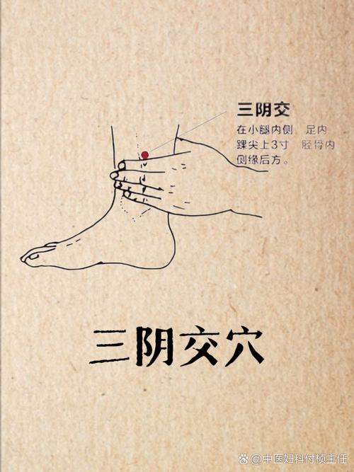 月经先期艾炙什么穴位