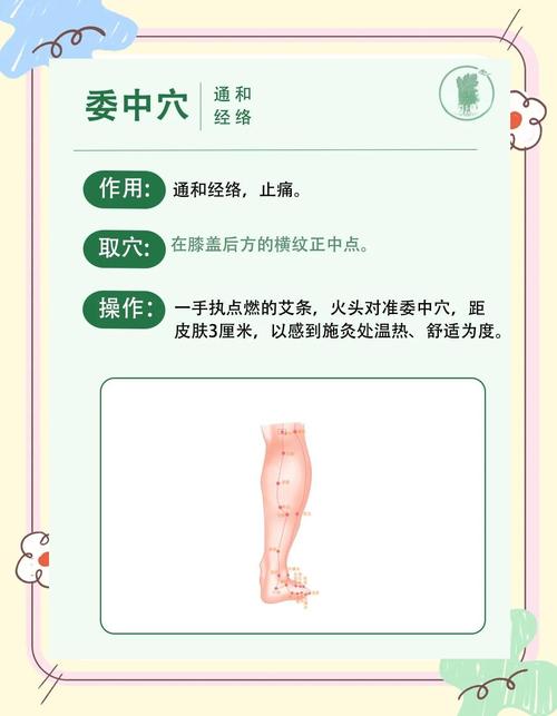 腰肌劳损艾灸什么穴位
