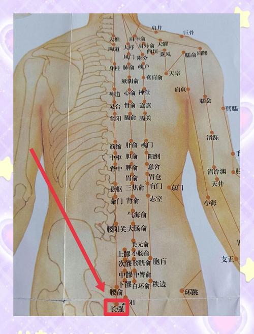 按摩哪个穴位治疗痔疮