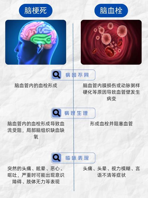 脑梗和脑血拴有何区别