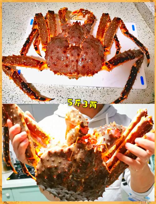 风湿类风湿吃帝王蟹么