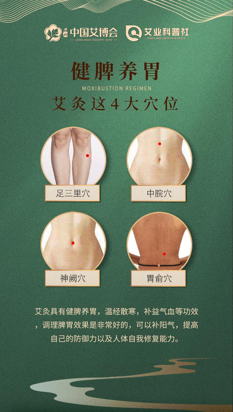 脾胃虚寒艾灸什么穴位