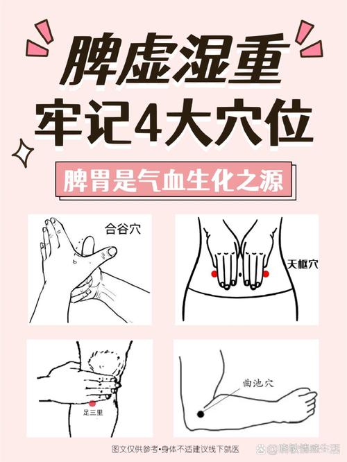 脾胃虚寒艾灸什么穴位