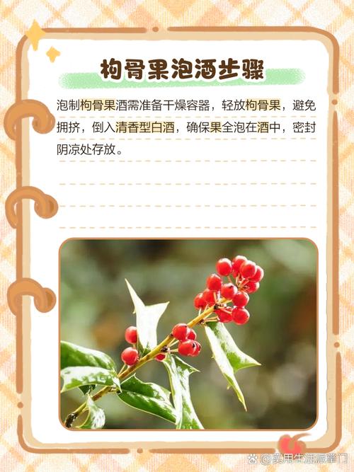 风湿果泡酒能治风湿吗