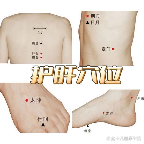 肝胆不好艾灸什么穴位