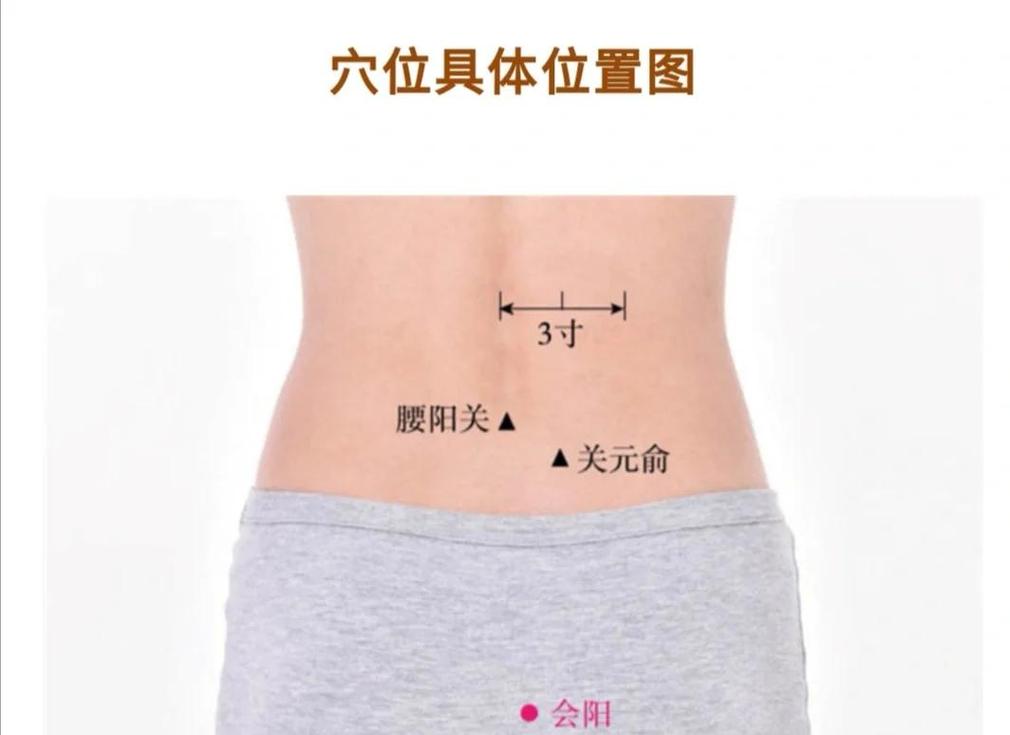 特效穴位增强肛门排气