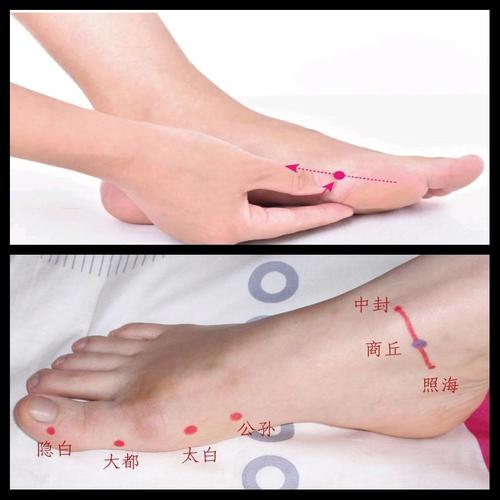 健脾养胃按摩哪个穴位