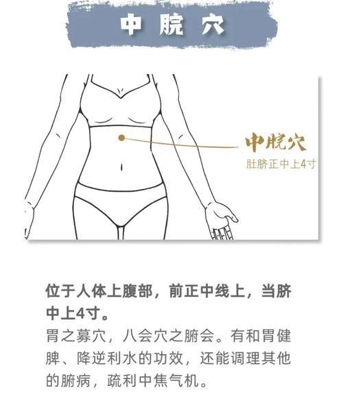 脾胃不好艾灸哪个穴位