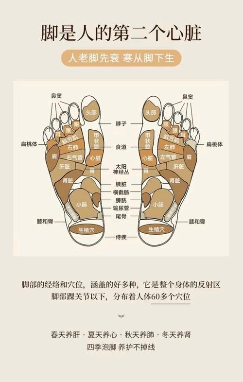 鼻炎按摩脚底什么穴位