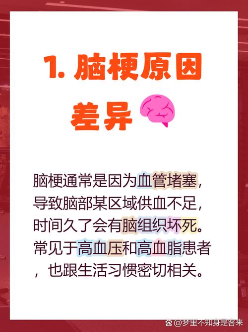 脑梗跟脑堵有什么区别
