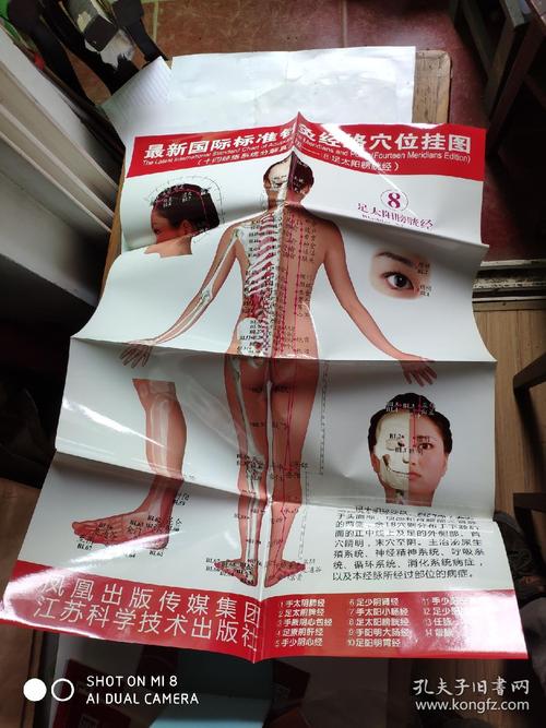 真人针灸穴位挂图 女