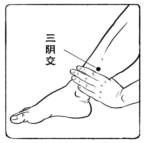 人体三阴交穴位在哪里