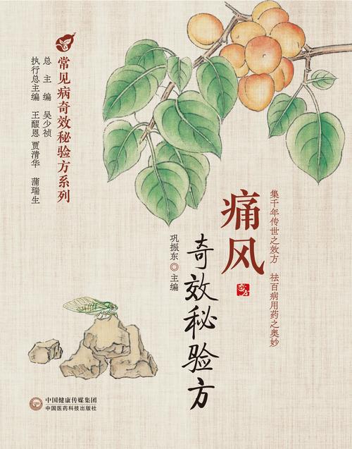 风湿类风湿痛风的偏方