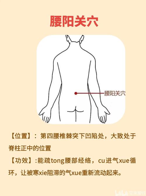 第四腰椎棘突下的穴位
