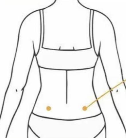 第四腰椎棘突下的穴位