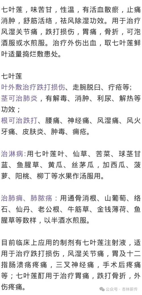 治疗风湿风湿痛的偏方