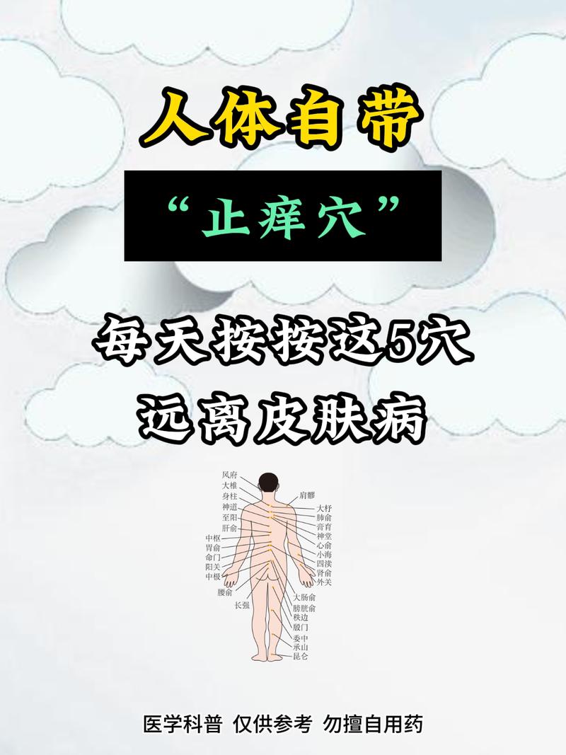 治疗神经性皮炎的穴位