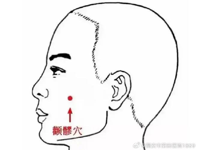 颞颌关节炎按摩穴位图