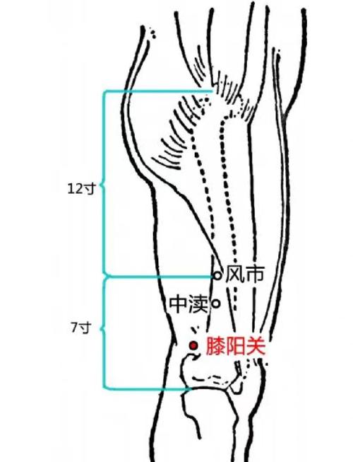 膝关节对应的穴位在哪