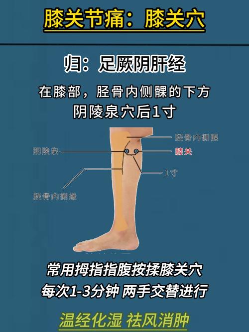 膝关节对应的穴位在哪