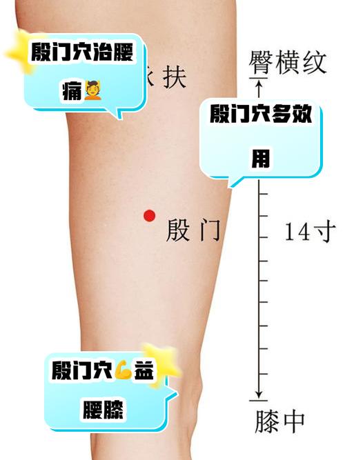 大腿外侧的四个穴位点