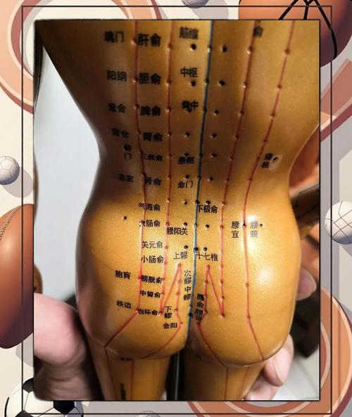 股骨头坏死扎哪些穴位