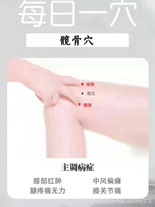 有关股骨头的按摩穴位