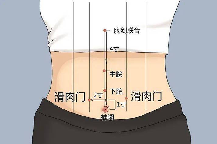 刺激胰岛素分泌的穴位