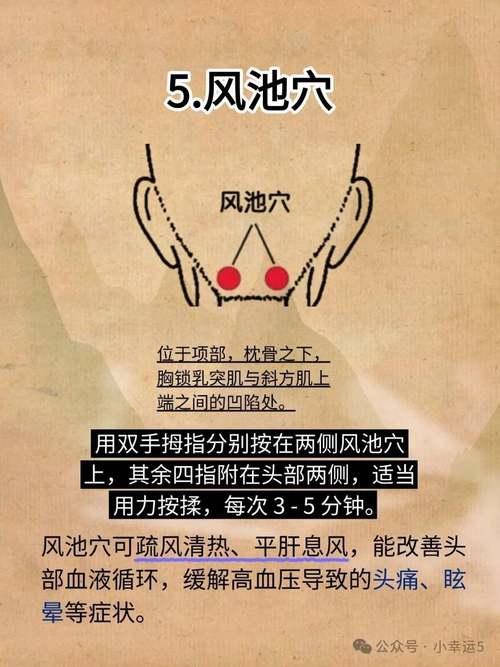 按摩哪个穴位能降血压