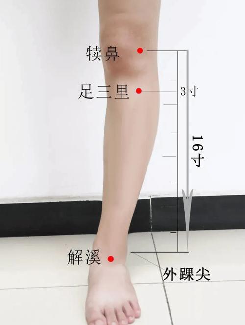 人体十大保健大补穴位