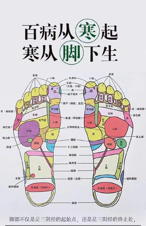 足贴病症和对应穴位表