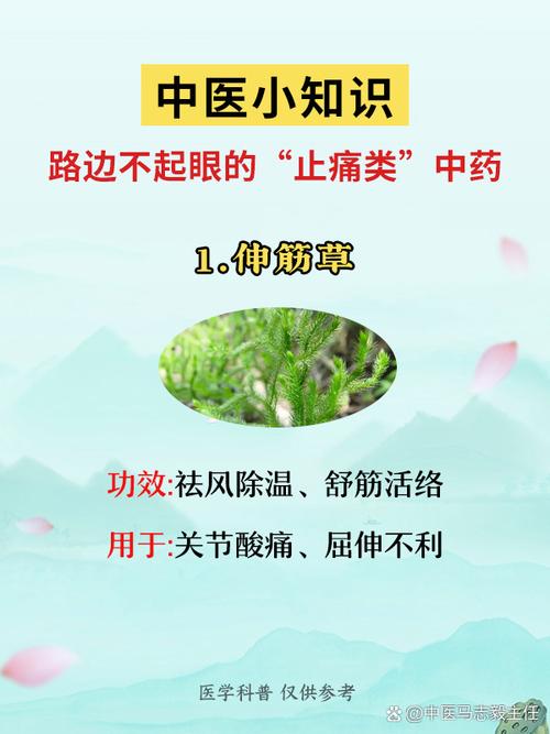 风湿类风湿治疗法中药