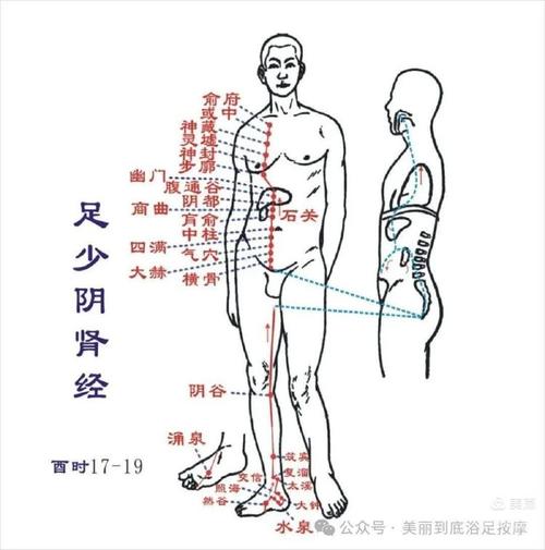 哪个穴位对应的是肾经