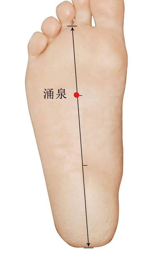 促进胰岛素分泌的穴位