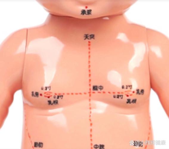 人体前胸上半身穴位图
