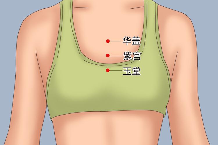人体前胸上半身穴位图