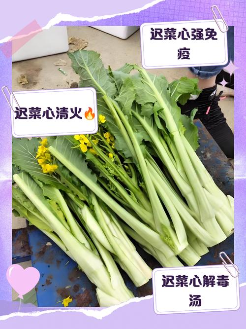脑梗心梗吃什么蔬菜好