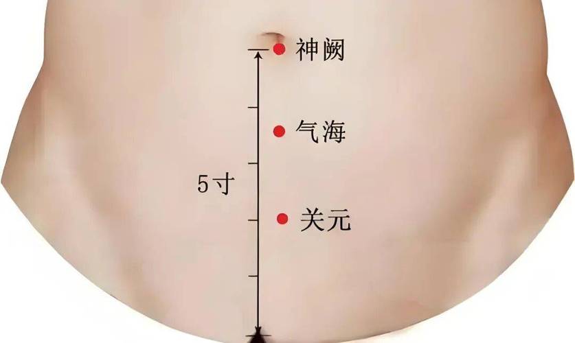 艾炙治疗前列腺的穴位