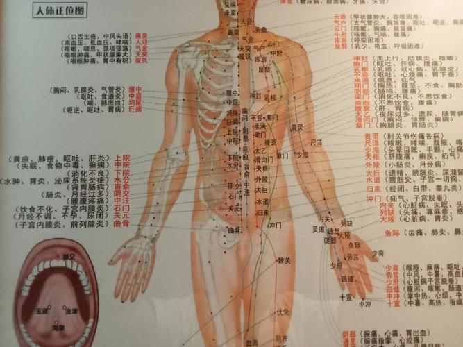 经络穴位按摩大全下载