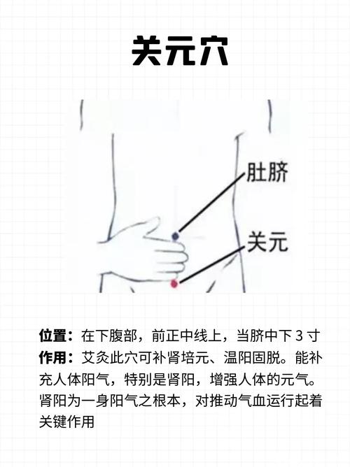 有小肚腩艾灸哪些穴位