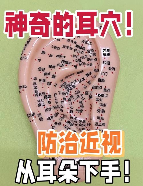 晾衣夹子夹耳朵穴位图