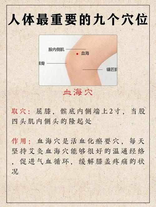 艾灸哪个穴位能补气血