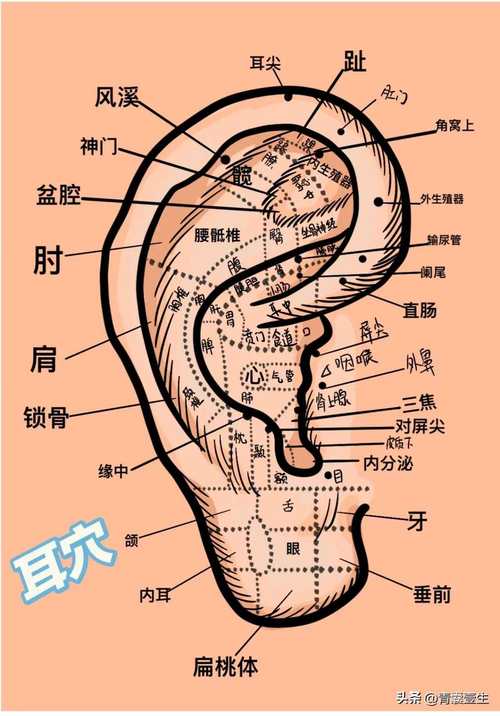 针灸治疗中耳炎的穴位