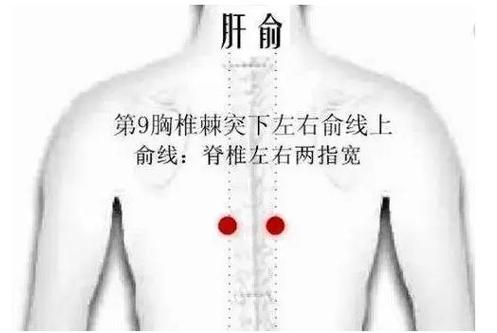 肝火旺拔罐拔什么穴位