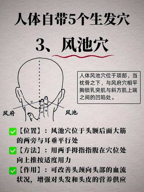 风池穴和天柱穴位置图