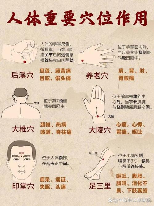 人体重要的穴位有哪些