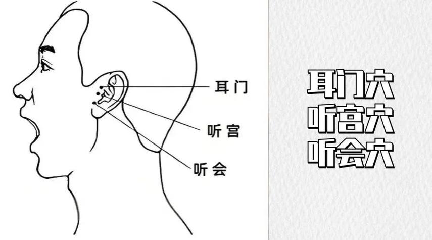 耳朵垂后面是什么穴位